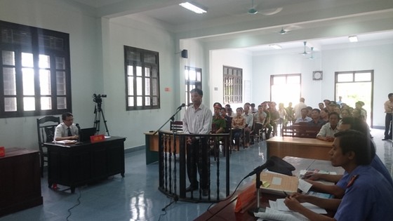 Lần thứ 5 mở tòa xét xử vụ án 60 cây thông tại Huế ảnh 1