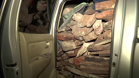 Phát hiện hơn 2 tấn gỗ trắc trên ô tô có 2 biển số giả ảnh 1