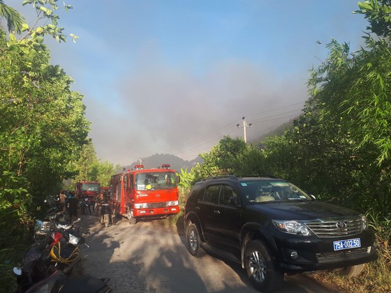 Cháy rừng tại Thừa Thiên – Huế uy hiếp đường dây 500KV ảnh 3