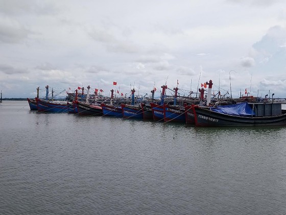 Các tỉnh miền Trung nỗ lực ứng phó bão số 4 ảnh 5