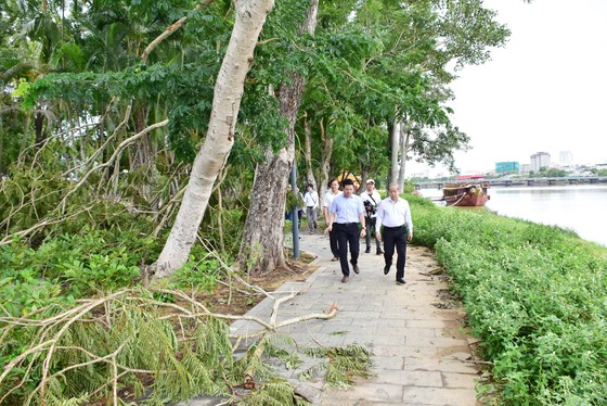 Thừa Thiên – Huế ra quân dọn dẹp cây xanh ngã đổ sau bão số 5 ảnh 2