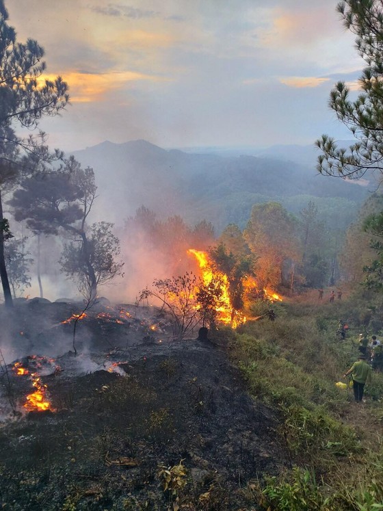  Cháy lớn xuyên đêm trên đỉnh núi Phú Sơn  ảnh 3