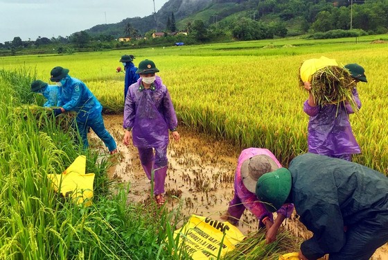 Dùng dây dù vượt lũ sông A Sáp cứu hộ 5 người dân bị cô lập ảnh 3