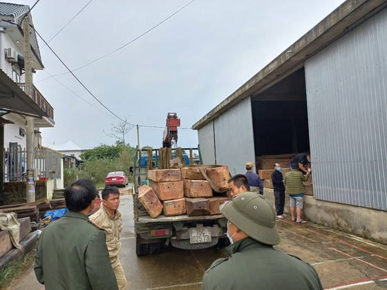 Phát hiện xe tải chở số lượng lớn gỗ không rõ nguồn gốc ảnh 2