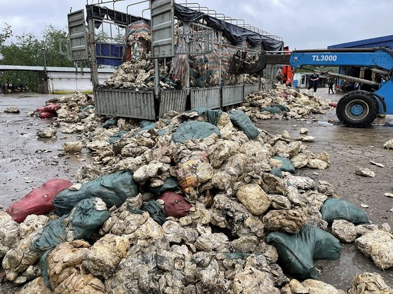 Thừa Thiên - Huế: Bắt quả tang doanh nghiệp đổ chất thải rắn trái phép ảnh 2