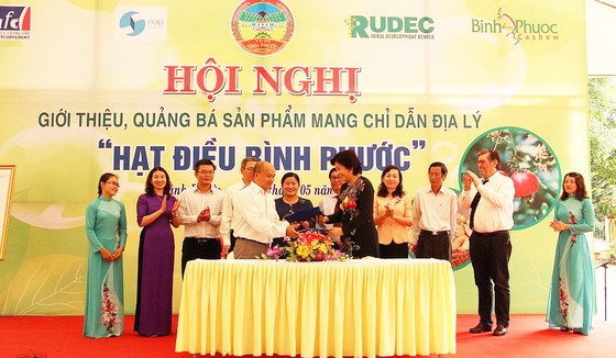 Phát triển ngành điều gắn với chỉ dẫn địa lý hạt điều Bình Phước ảnh 1