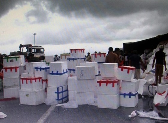 Người dân giúp thu gom hàng tấn trái cây sau tai nạn lật xe container ảnh 3