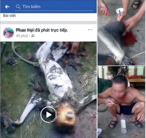 Giết cá thể nghi là khỉ rồi đăng lên mạng xã hội gây phẫn nộ ảnh 2