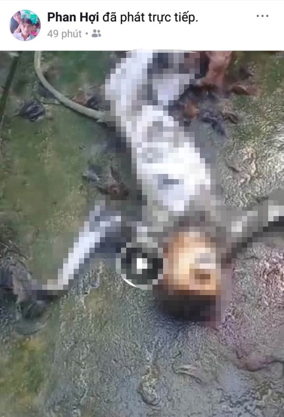 Xác định 5 người liên quan trong video clip giết cá thể nghi khỉ, ăn óc sống ở Hà Tĩnh ảnh 1