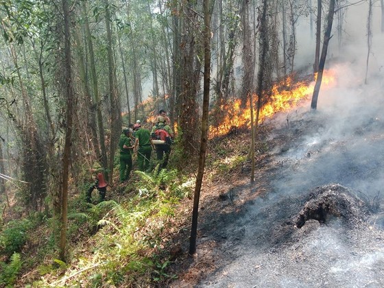 Lại xảy ra cháy rừng tại Hà Tĩnh ảnh 6
