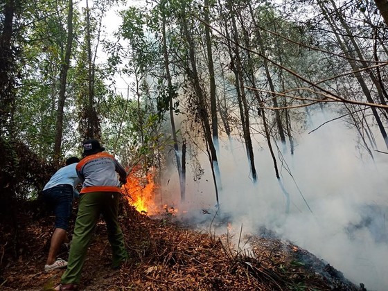 Lại xảy ra cháy rừng tại Hà Tĩnh ảnh 2