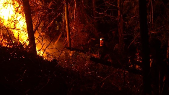 Khống chế đám cháy rừng trong đêm ở Hà Tĩnh ảnh 1