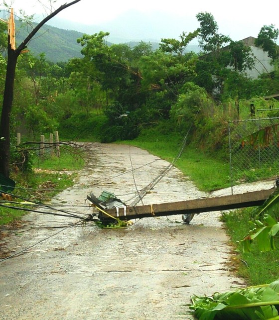 Hà Tĩnh: Lốc xoáy làm 2 người bị thương, nhiều nhà dân bị tốc mái ảnh 2