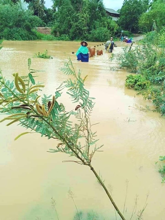 Mưa lớn nhiều xã miền núi ở Hà Tĩnh bị ngập lụt, chia cắt cục bộ ảnh 1