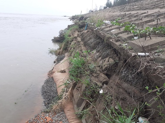 Đê chắn sóng ven biển ở Hà Tĩnh bị sạt lở sau mưa lũ ảnh 9