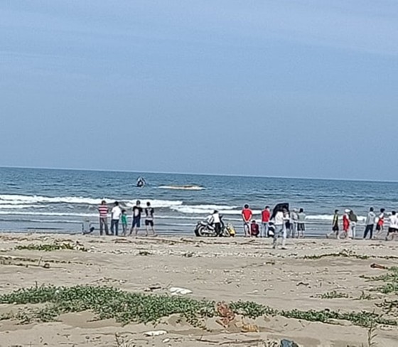Phát hiện xác cá voi lớn trôi dạt vào bờ biển Hà Tĩnh ảnh 6