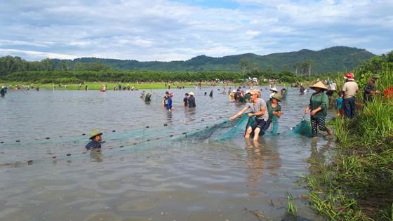 Hàng ngàn người dân nô nức tham gia lễ hội đánh cá 'độc nhất' ở Hà Tĩnh ảnh 7