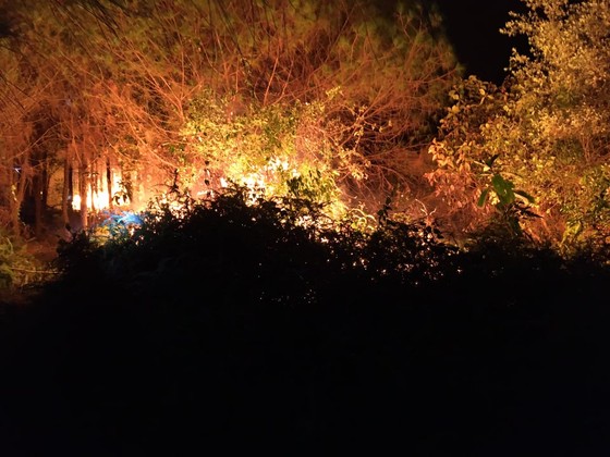 Dập tắt một vụ cháy rừng trong đêm ở Hà Tĩnh ảnh 1