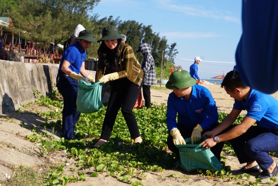 Hơn 1.000 đoàn viên thanh niên ra quân làm sạch môi trường bãi biển ở Hà Tĩnh ảnh 8