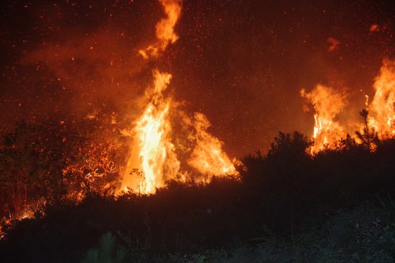 Cơ bản khống chế được đám cháy rừng ở Hà Tĩnh ảnh 11