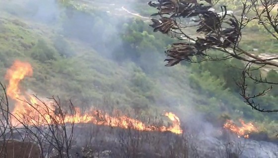 Cơ bản khống chế được đám cháy rừng ở Hà Tĩnh ảnh 9