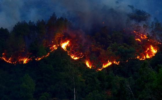 Cơ bản khống chế được đám cháy rừng ở Hà Tĩnh ảnh 1