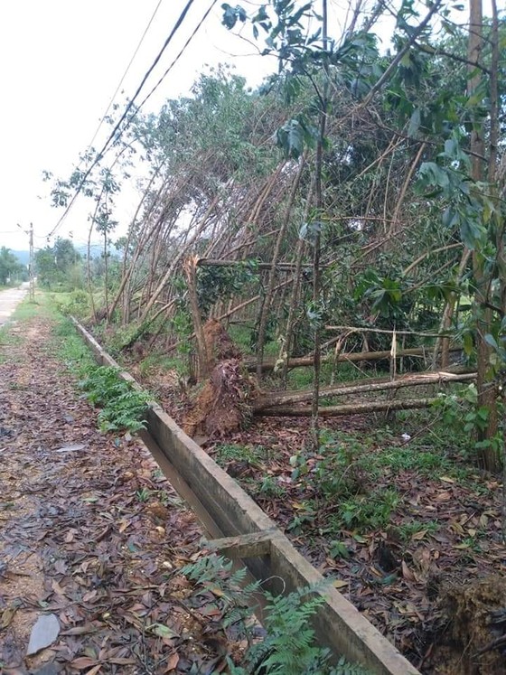 Lốc xoáy gây thiệt hại nặng về tài sản của người dân Hà Tĩnh ảnh 21