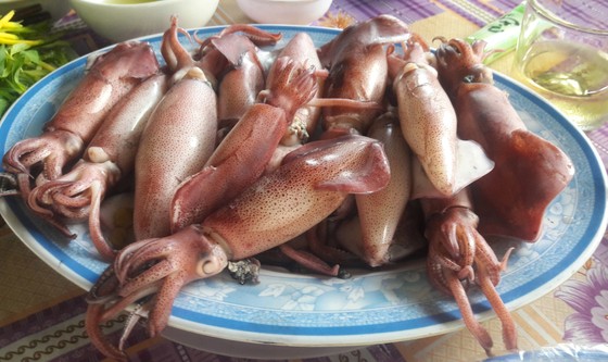Hà Tĩnh: Mực nhảy Vũng Áng hấp dẫn du khách ảnh 9