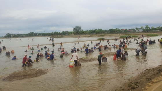 Hàng trăm người nô nức bắt cá hồ Đập Lổ ở Hà Tĩnh ảnh 10