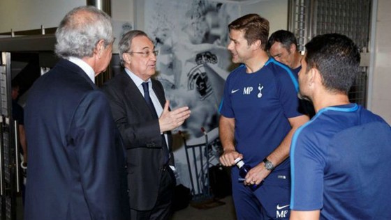 Cầu thủ Tottenham lo mất Pochettino ảnh 1