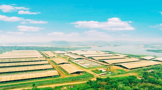 Tập đoàn TH: Ứng dụng công nghệ 4.0 vào cụm trang trại đạt kỷ lục thế giới ảnh 1
