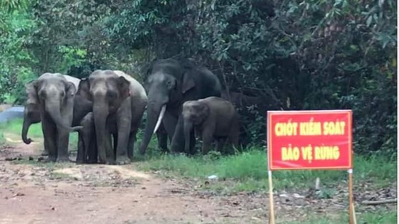 Phản hồi bài viết Băn khoăn vị trí dự kiến xây cầu Mã Đà: Nên điều chỉnh hướng tuyến tránh vùng lõi khu bảo tồn ảnh 3