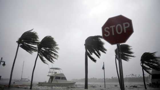 Bão Irma quét qua, các thành phố lớn bang Florida chìm trong nước biển ảnh 11