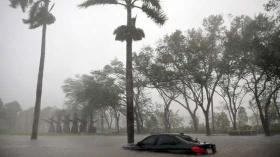 Bão Irma quét qua, các thành phố lớn bang Florida chìm trong nước biển ảnh 19
