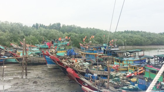 TPHCM đã chuẩn bị ứng phó bão số 16 (bão Tembin) ảnh 9