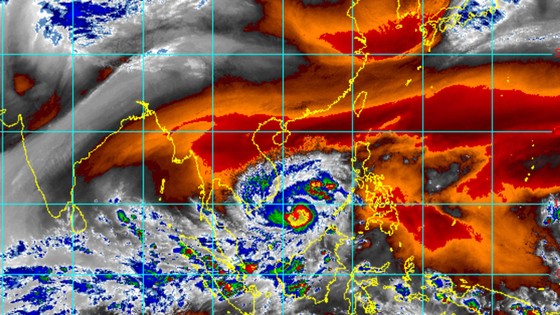 TPHCM đã chuẩn bị ứng phó bão số 16 (bão Tembin) ảnh 11