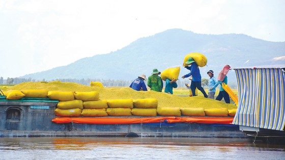 Mùa lũ an bình ở ĐBSCL ảnh 2