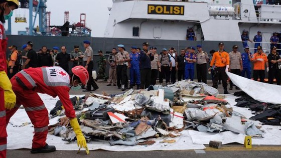 Vụ rơi máy bay tại Indonesia: Tìm thấy hộp đen máy bay ảnh 2