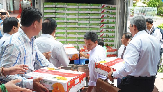 An Giang xuất khẩu lô xoài đầu tiên sang Mỹ ảnh 2
