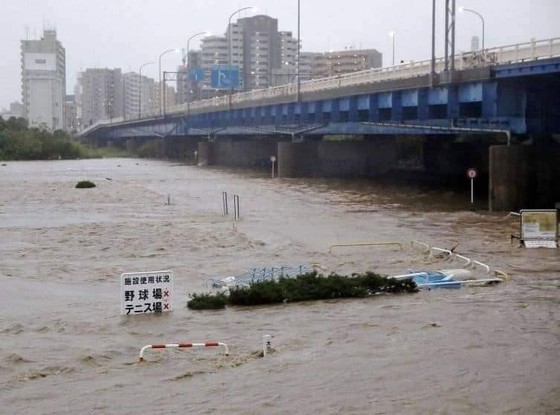 Nhật Bản tan hoang sau siêu bão Hagibis ảnh 13