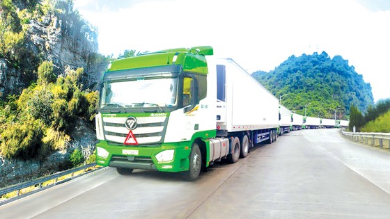 Logistics trọn gói cho nông nghiệp - Thilogi góp phần mang nông sản Việt ra thế giới ảnh 2