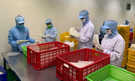 Doanh nghiệp Việt sẵn sàng cho những cơ hội triệu đô giữa dịch Covid-19 ảnh 1