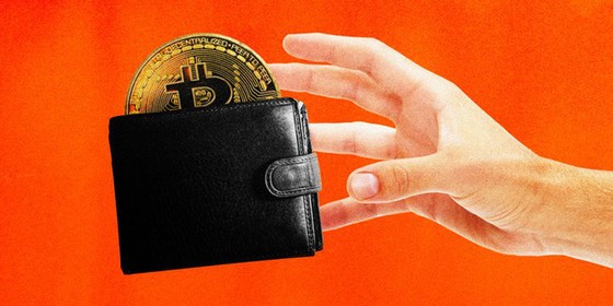 “Sóng gió” Bitcoin: Nhà đầu tư thành con bạc? - Ảnh 3. “Sóng gió” Bitcoin: Nhà đầu tư thành con bạc? - Ảnh 3.