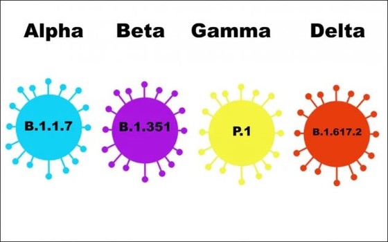 Sau Delta, chủng virus đột biến Gamma đang dấy lên mối lo ngại mới ở nhiều nước - Ảnh 2.
