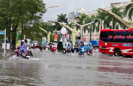 Thanh Hóa: 1 người chết, nhiều tuyến phố bị ngập do bão số 10 ảnh 1