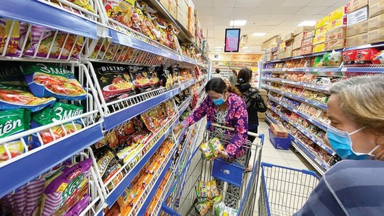 TPHCM: Phát huy tinh thần “mỗi người dân là một chiến sĩ tham gia chống dịch” ảnh 1
