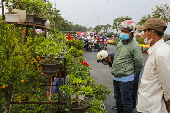 TPHCM kêu gọi người dân tích cực mua hoa ủng hộ nhà vườn ảnh 3