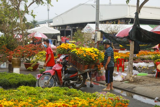 TPHCM kêu gọi người dân tích cực mua hoa ủng hộ nhà vườn ảnh 1