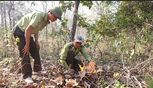 Tây Nguyên khẩn cấp phòng chống cháy rừng ảnh 1
