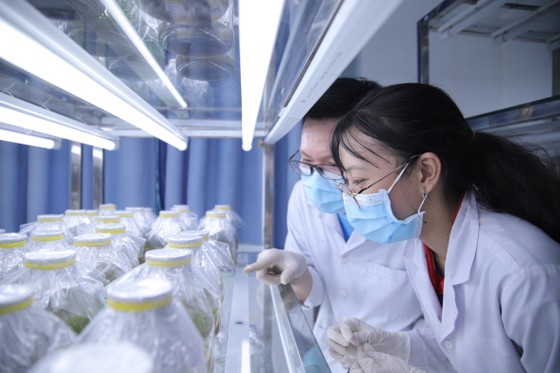 Phản hồi loạt bài “Trục lợi trong nghiên cứu khoa học ở các trường đại học”: Đưa vấn đề liêm chính học thuật vào nghị định trình Chính phủ ảnh 1